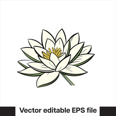 Vector Lilly pad flower