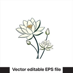 Vector Lilly pad flower