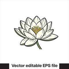 Vector Lilly pad flower