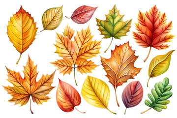 Obraz premium Watercolor Autumn Leaves Collection Illustration for Nature Art.png