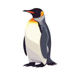 Fototapeta premium Charming Penguin Full Body Vector Illustration Bird EPS