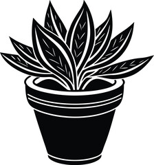 vector illustration of a plant in pot