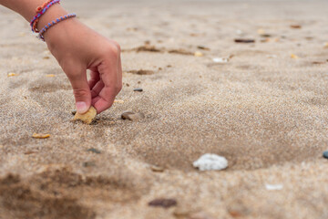 Child's hand picking up shells from the beach with copy space.
