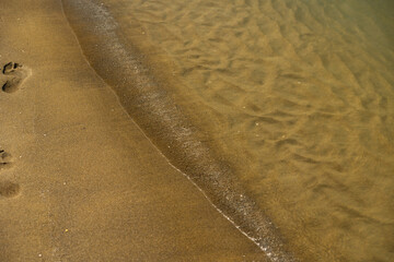 bagnasciuga in un ambiente di mare calmo, lungo una delle coste italiane nella regione Veneto, con acqua trasparente, di giorno, in estate