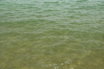 dettaglio del profondo fondale marino e superficie semi-trasparente del mare Adriatico, di giorno, in estate