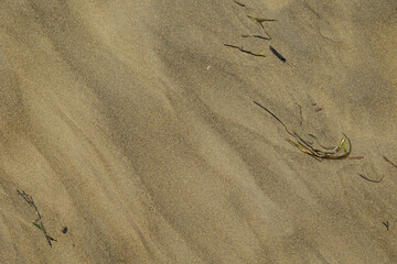 dettagli di una superficie di sabbia bagnata da acqua di mare