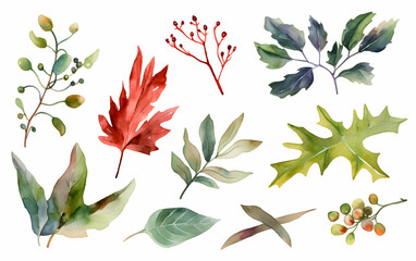 Colorful array of various leaves and berries set against a white background showcasing natural beauty and diversity in plant life