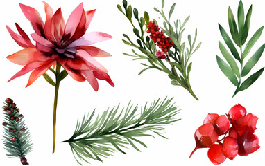 Colorful floral and botanical illustrations featuring vibrant red flowers and lush green leaves arranged artistically for holiday decorations and seasonal crafts
