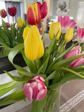 Colorful Spring tulips in a vase