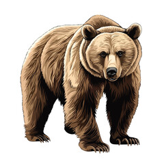 Majestic Grizzly Bear Full Body Illustration Design