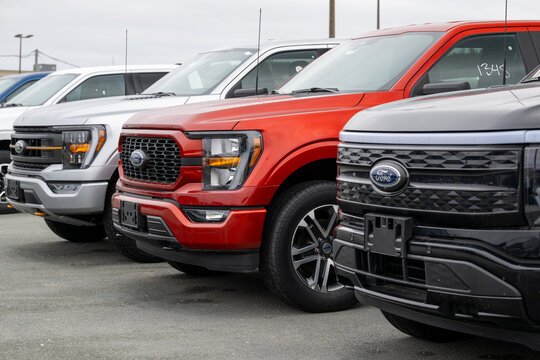 St. John's, Newfoundland, Canada-March 1, 2025: A row of Ford F-150 pickup trucks. Both gasoline and electric vehicles. The new vehicles are parked on a dealership parking lot in a row for sale.