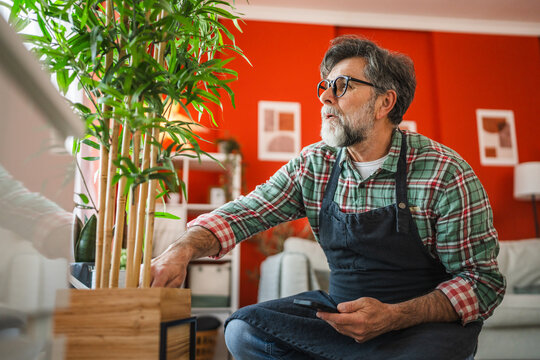 man gardener kneel and take care of home plant while use mobile phone