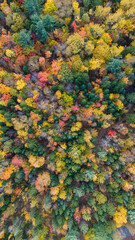 Vue aérienne sur une forêt au Quebec Canada pendant l'été indien 