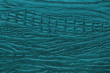 Crocodile genuine leather structure texture macro, turquoise colored leatherette surface with...
