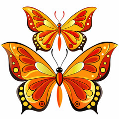 butterfly on white background