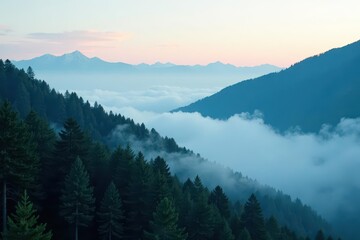 Fototapeta premium Fog drifts over dark green mountain fir trees , cold, dramatic, winter