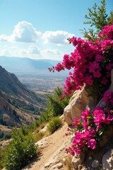Bougainvillea cascading down hillside overlooking Judean desert , rock, plant