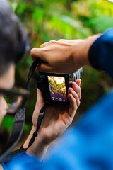 A nature photographer capturing the beauty of the forest with a digital camera in El Yunque, Puerto Rico.