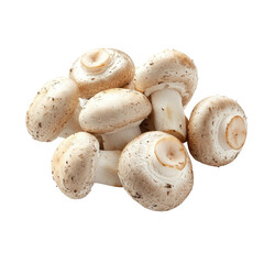 Harvesting fresh mushrooms in nature food photography outdoors