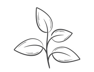 Plant sprout with four leaves line illustration. Spring, planting and nature design element. Isolated vector image