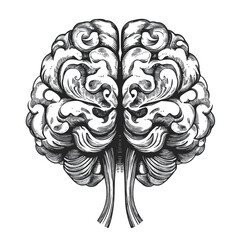 Fototapeta premium Neurodivergent Brain Vector Illustration Isolate