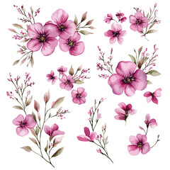Obraz premium Pink Watercolor Flower Arrangements Set