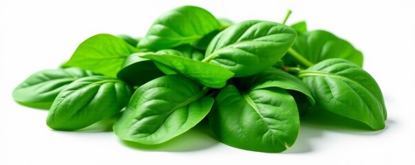 Pile of spinach leaves isolated on white background, top view, organic, Spinach