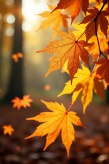 Serene scene of golden and orange maple leaves gently drifting down in the wind, copy space, autumn colors