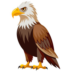 Fototapeta premium eagle vector illustration, majestic bird of prey wildlife drawing