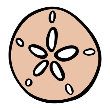 Sand Dollar Clipart