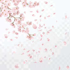 Sakura Blossom Branch with Falling Petals and Flowers