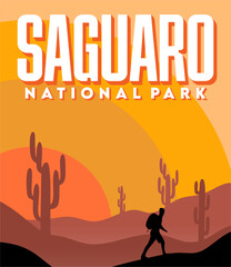 saguaro national park with beautiful natural scenery