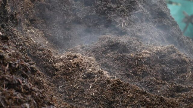 Pile of steaming organic compost stored in an agricultural field. High quality 4k footage