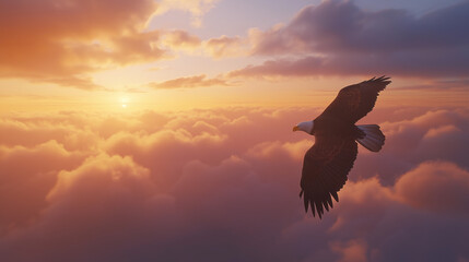Fototapeta premium eagle flying above the clouds 