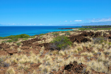 Turquoise Ocean and Black Lava Rocks on Hawaiian Coast: Scenic Tropical Island Landscape Under Blue Sky