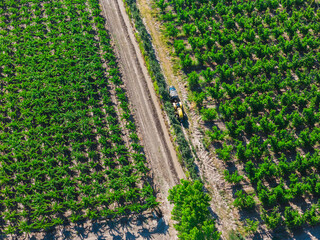 aerial view of an agricultural area in Argentina
