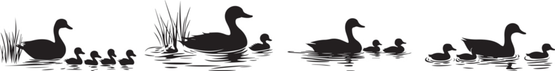Silhouette of a duck family swimming in a pond, mother duck leading ducklings vector silhouette
