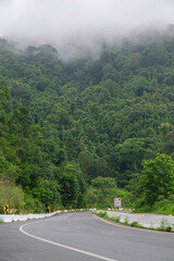 Road with a forest in the background