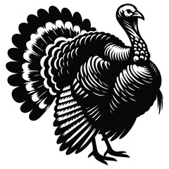 turkey vector illustration isolated