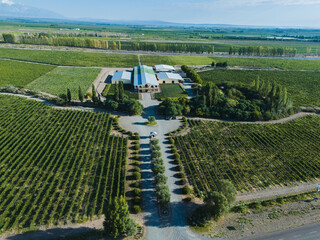 aerial view of an agricultural area in Argentina