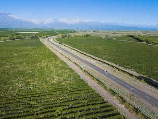 aerial view of the route to mountains between vineyards