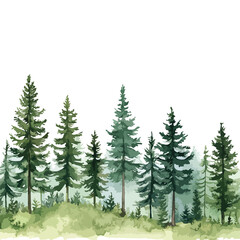 Fototapeta premium Serene Watercolor Green Pine Forest Landscape Banner
