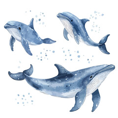 Fototapeta premium Watercolor Vector Illustration of Cute Blue Whale