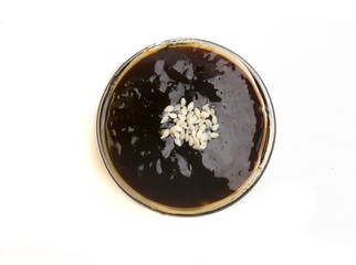 bowl of teriyaki sauce