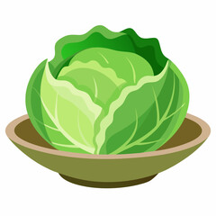  Fresh Cabbage vector art illustration 