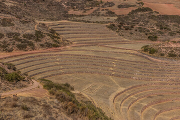 View of Moray terraces, Peru