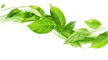Fototapeta premium Flying green leaves in motion on a white background isolated
