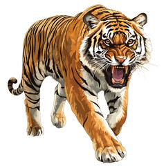Obraz premium Wild Roaring Tiger Full Body Vector Illustration