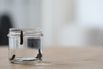 Medicinal leeches in glass jar on wooden table, closeup. Space for text