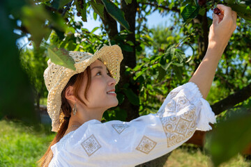 田舎で育ったチェリーを食べる女性